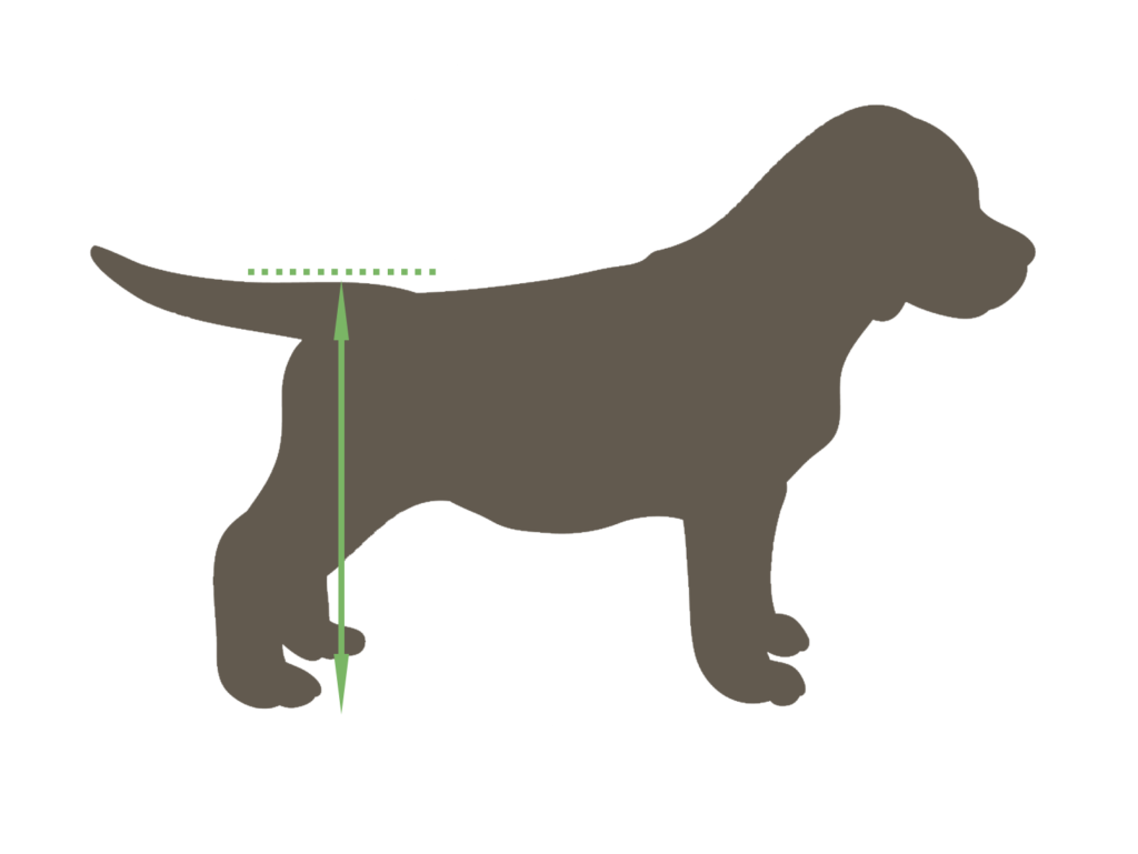 Sizing Dog Wheelchairs