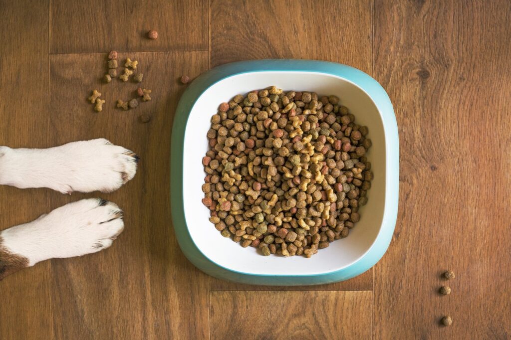 What Is In Your Dog's Food?